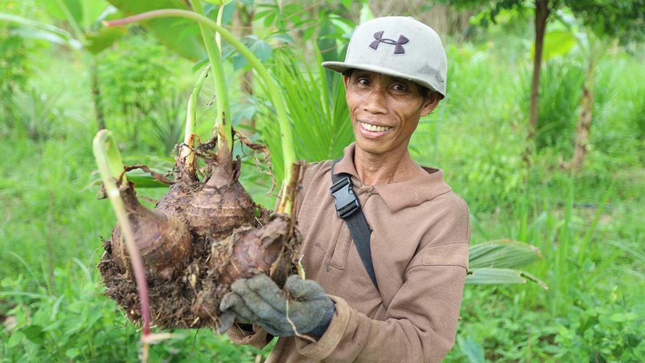 A person holding a plant