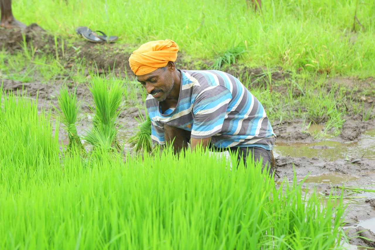 Watering fields of prosperity.JPG